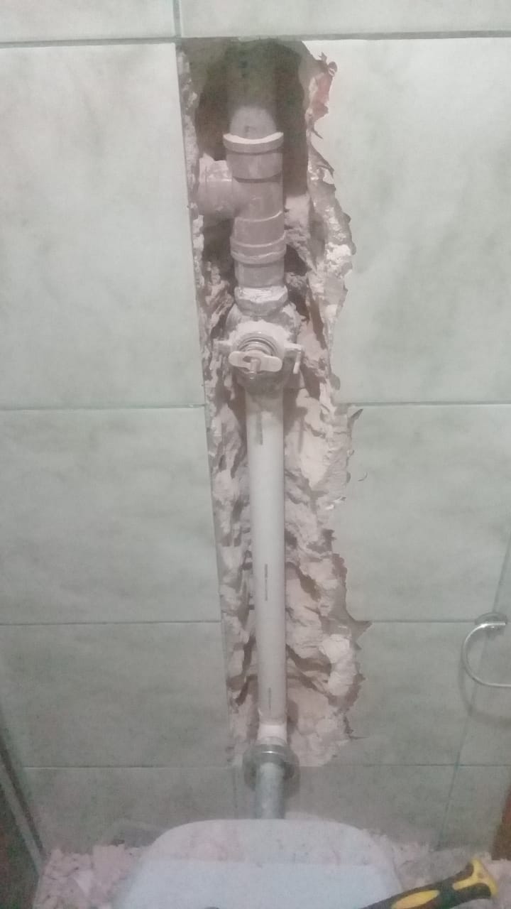 Encanador e dedetização e limpa fosse (43)